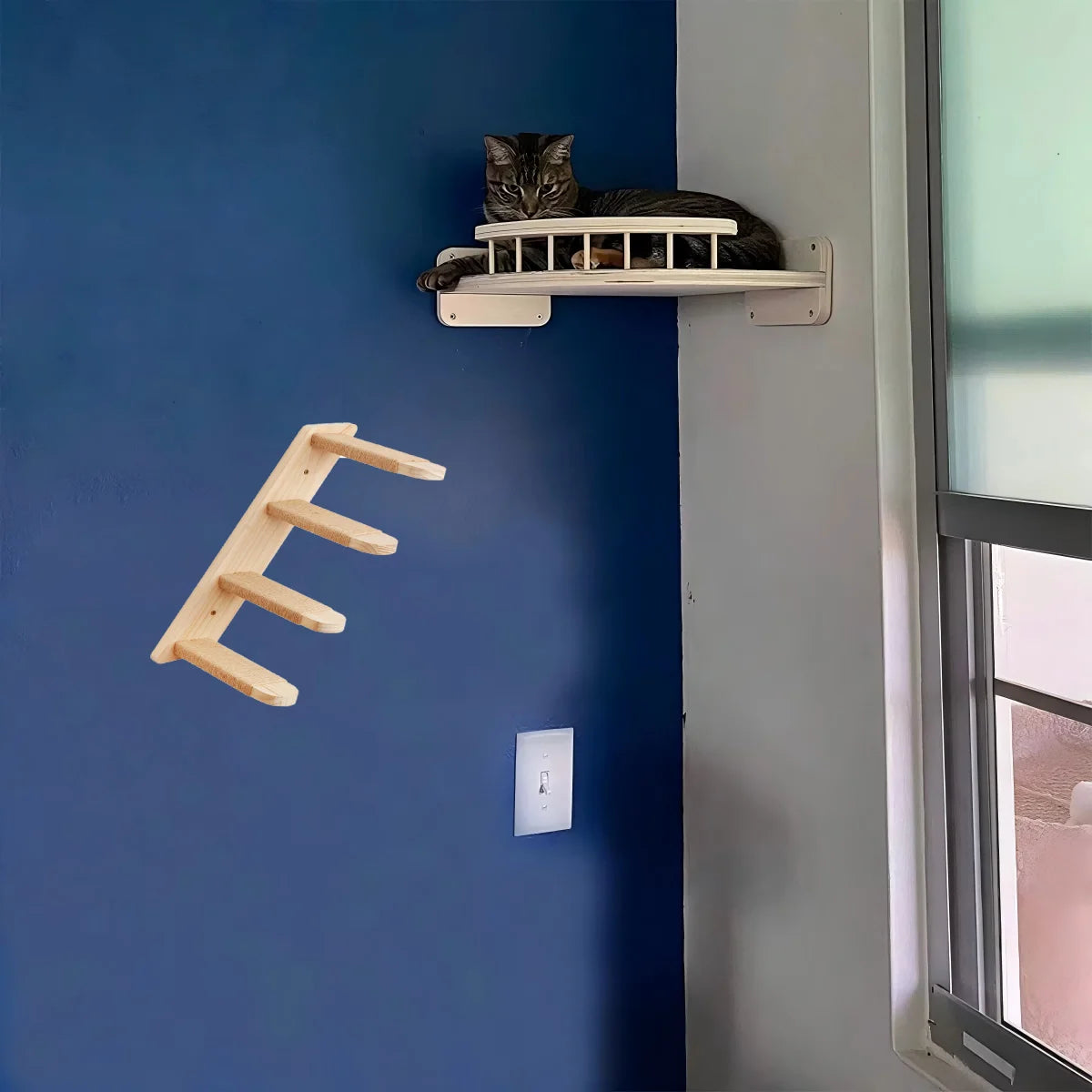 CWV Wall Mounted Cat Hammock And Climbing Shelf Set