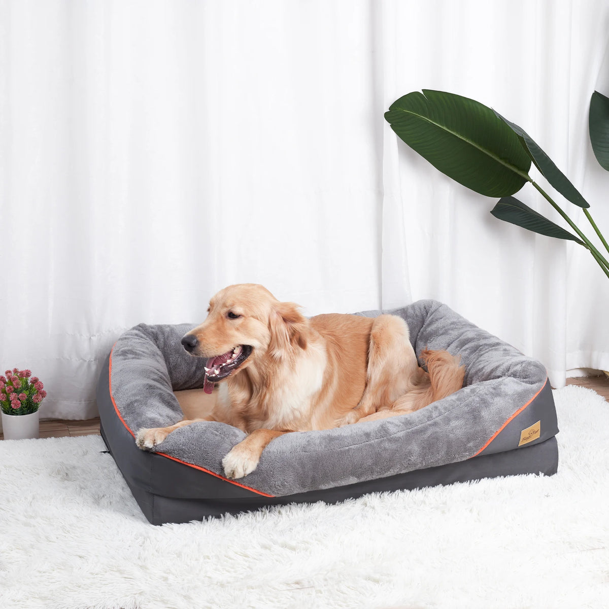BINGOPAW Waterproof Washable Dog Bed With Removable Soft Fleece Cover