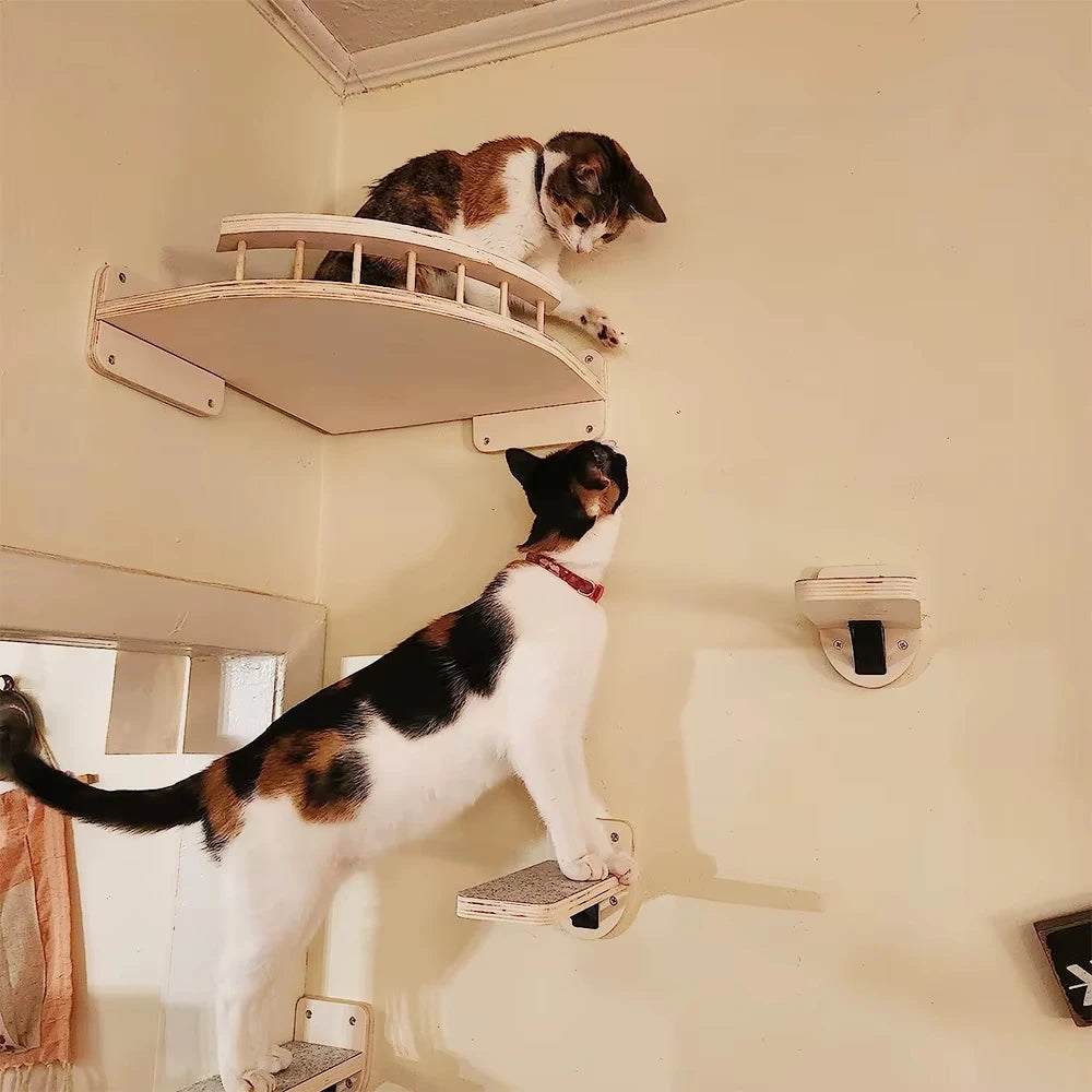 CWV Wall Mounted Cat Hammock And Climbing Shelf Set